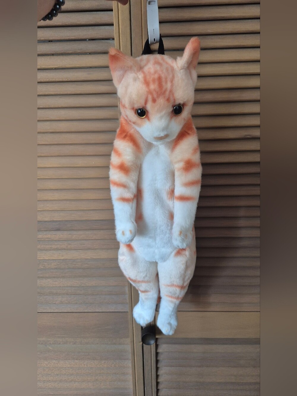 NWT☆ Real?? Cat Backpack From Japan